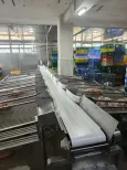 벨트 컨베이어 분류기 - 가금류 부실 분류 스테이션 - foodmachtech