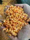 Hochgeschwindigkeits-Obst-und Gemüse würfel maschine, Karotten-und Pilz würfel maschine, handels übliches Mango-Würfeln und-granulieren - Gemüses ch neider - foodmachtech