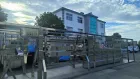 QGT-500 Máy khử mùi gia cầm - Máy nhổ lông gia cầm - foodmachtech