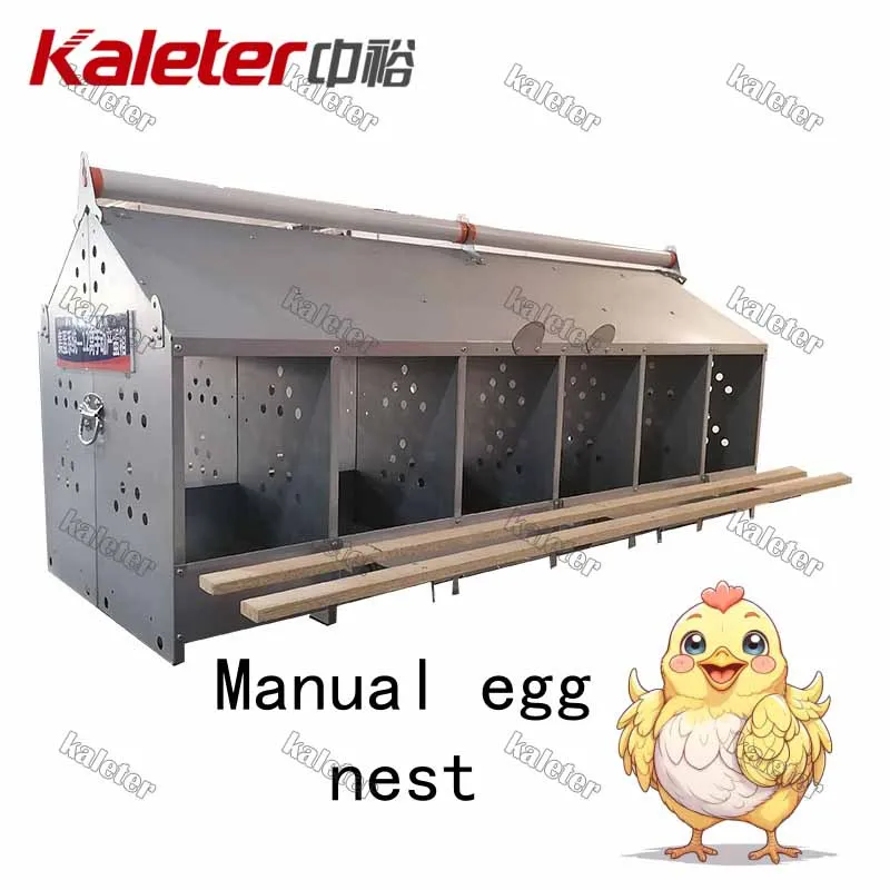 24 delikli tavuk yuvalama kutusu yumurta döşeme tavuk çiftliği tavuklar yetiştiriciliği makinesi için Metal kafes - Equipo avícola del criador - foodmachtech