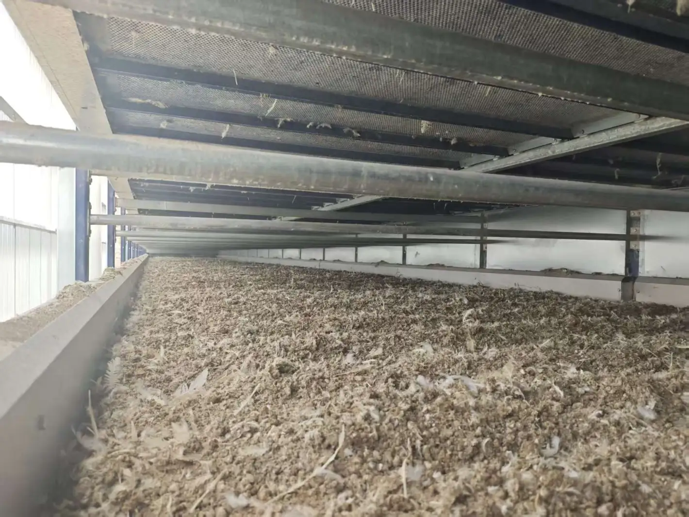Equipo del tratamiento del estiércol del pollo, equipo de sequía del estiércol del pollo - Sistema de tratamiento de estiercol - foodmachtech