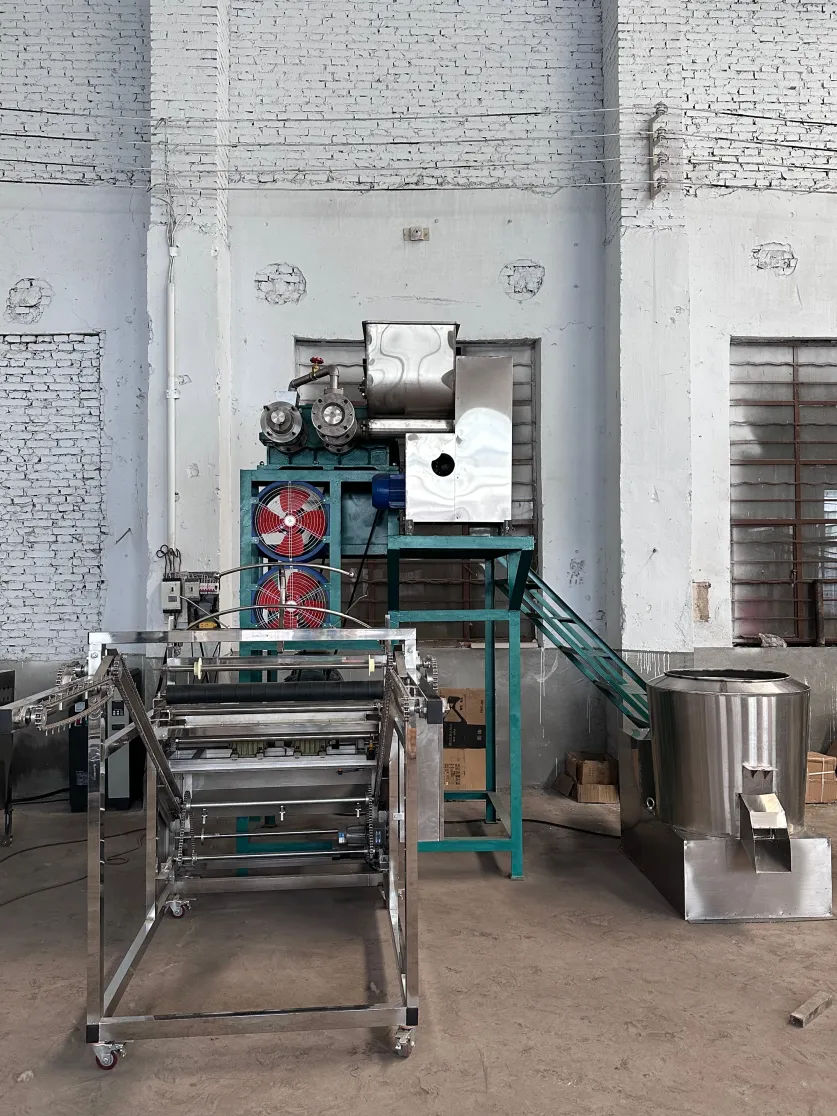 New Technology 165Fully Automatic Rice Noodle Machine Starch Glass Powder Production Line - Noodle Machine - foodmachtech