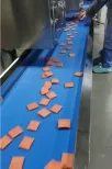 Food Cutting Machine - Cutting Machine - foodmachtech