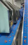 Food Cutting Machine - Cutting Machine - foodmachtech
