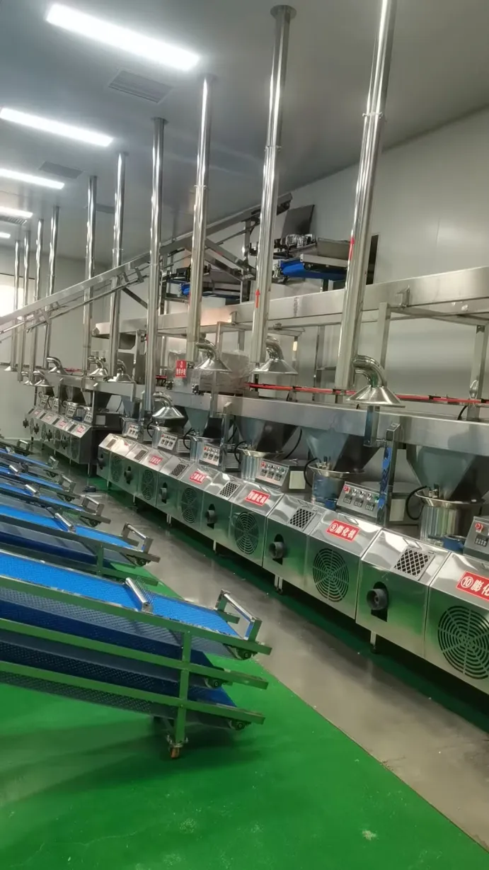 Chaîne de production épicée complètement automatique de bande - Extruder - foodmachtech