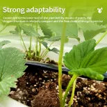4L Irrigação Agrícola Tubulação De Irrigação Por Gotejamento Tipo Patch Fita De Irrigação Por Gotejamento - Irrigação Agrícola/Equipamento de Poupança de Água - foodmachtech