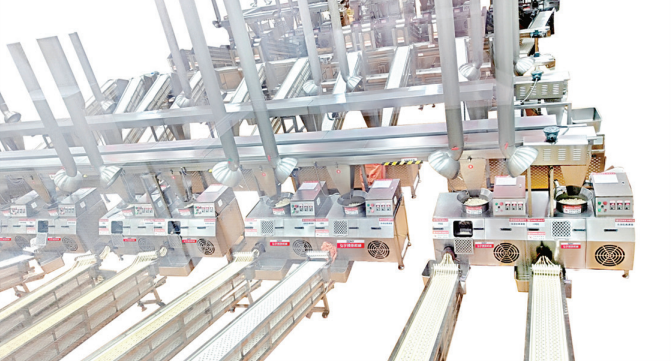 Latiao profesional que hace la máquina que fijó el equipo de producción completo picante de la tira