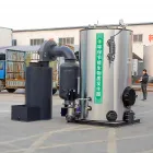 Funzionamento intelligente con generatore di vapore a biomassa a basso rumore ecologico e a risparmio energetico - Generatore di vapore - foodmachtech