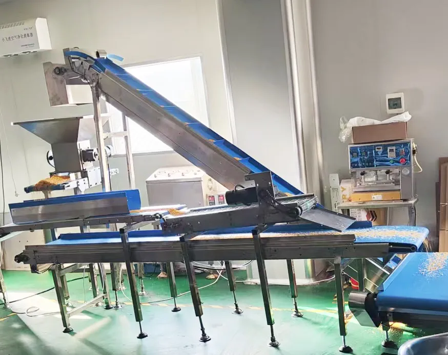 Machine spéciale d'arrosage pour la transformation des aliments - Assaisonnement Épandeur - foodmachtech