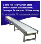 2 toneladas de alta calidad por transportador horizontal blanco de la bola del coco del acero de carbono de la hora para el proceso del aceite de coco - Línea de producción de petróleo - foodmachtech