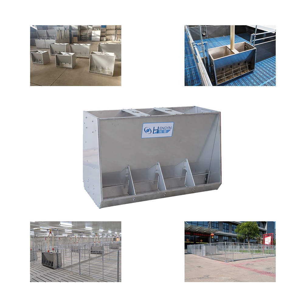 Alimentador automático de doble cara del cerdo Calidad superior 1 año de garantía post-venta