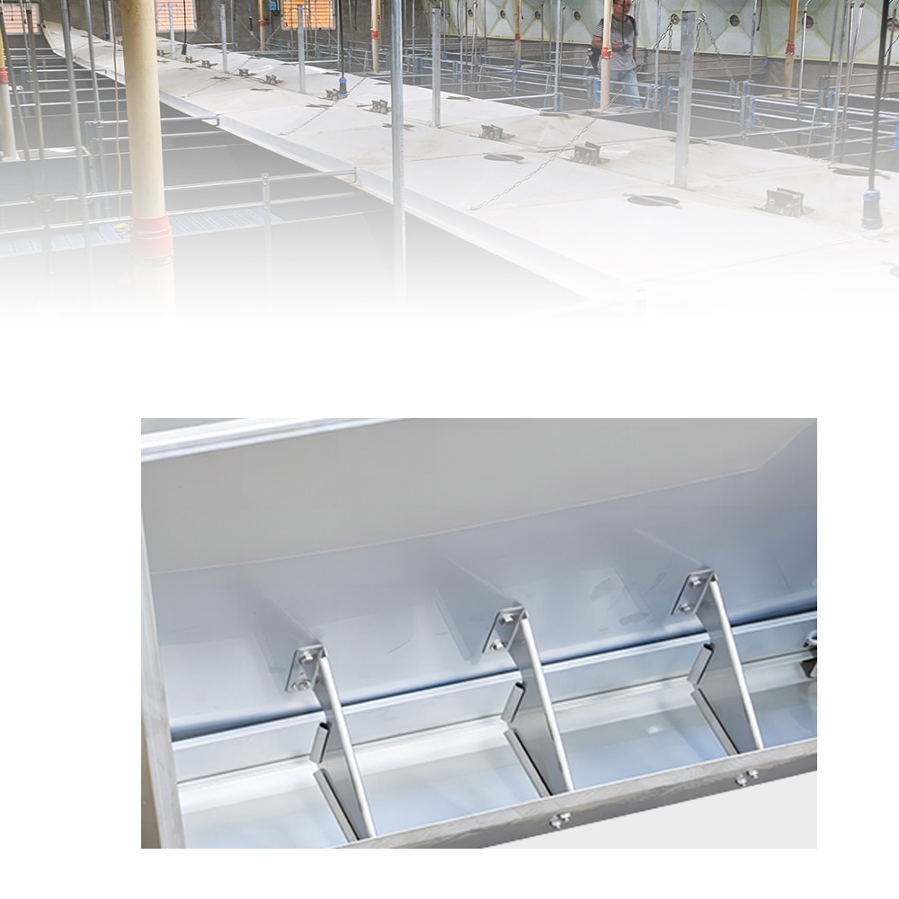 Hengyin de doble lado diversos agujeros sistema de alimentación de cerdo automático alimentador de canal para cerdos de engorde