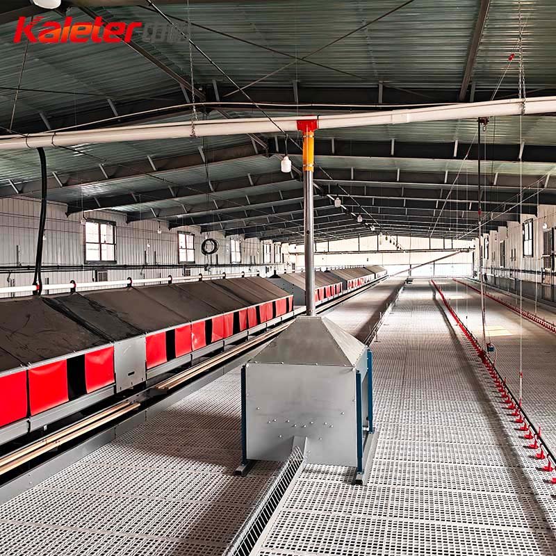 Caja de anidación de pollo de metal huevo ponedoras gallinas aves de corral caja automática colector granja huevos rollo lejos para