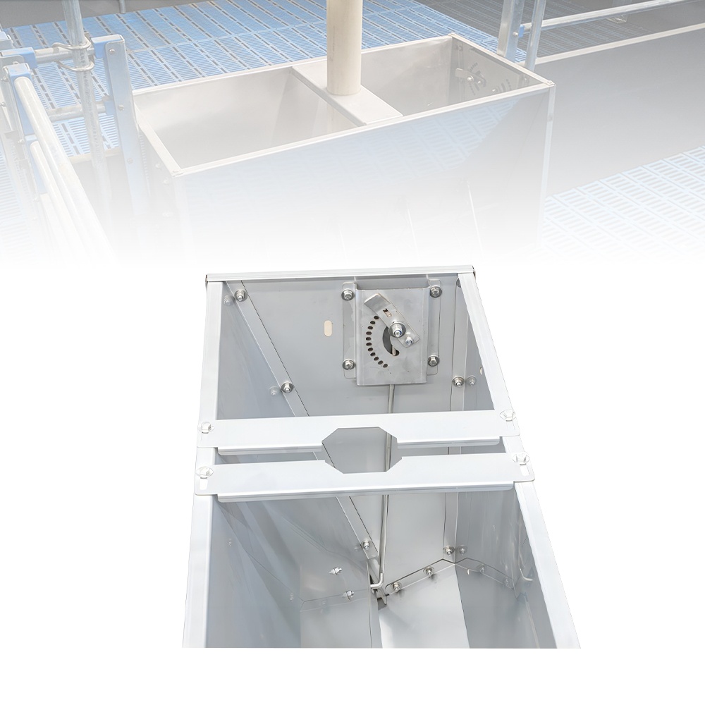 Alimentador auto de los cerdos del acero inoxidable del cerdo del sistema de alimentación de China