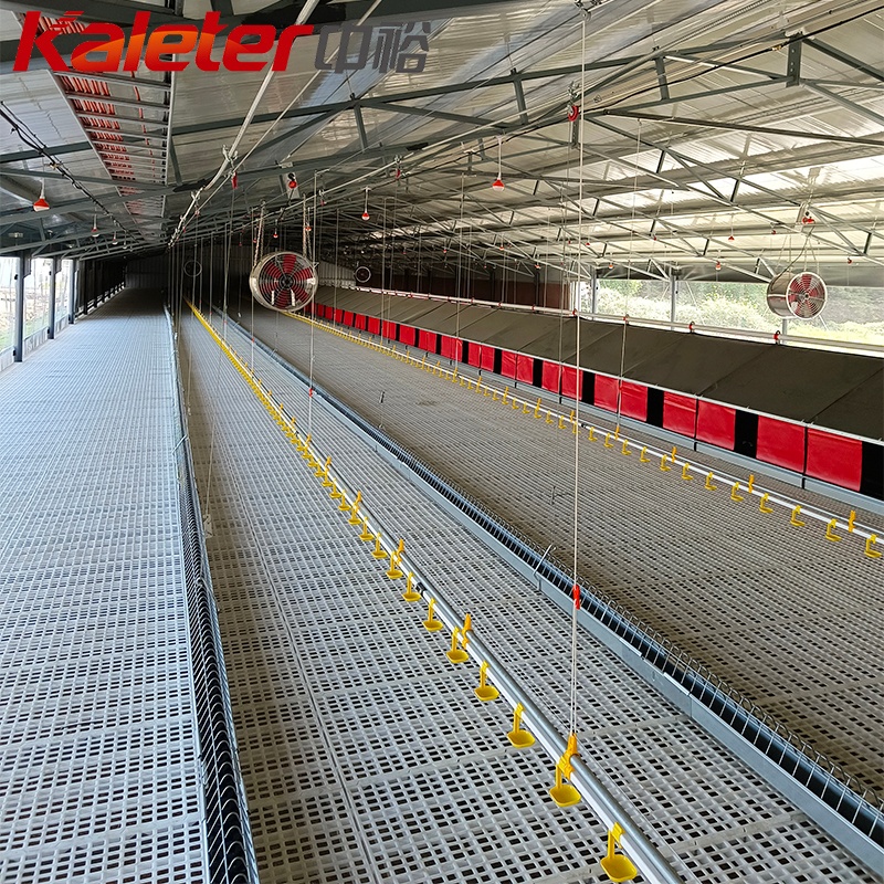 Grandes gallinas de pollo cajas nido gallinas nesting box capa aves equipo granja automática huevo colector rollo para