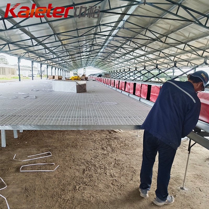 Colgar cajas de nido de gallina aves de corral sistema de colección automática de pollo lay nido caja de huevo rodar