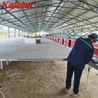 Colgar cajas de nido de gallina aves de corral sistema de colección automática de pollo lay nido caja de huevo rodar - Equipo avícola del criador - foodmachtech