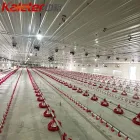 Zhongyu Kaleter自動ブロイラー機器給餌システム鶏の家パンフィーダーライン販売無料レンジ家禽農場 - ブリーダー家禽装置 - foodmachtech
