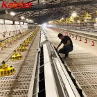 床繁殖用鶏ブロイラー鶏農場スラットメッシュハウスコーププラスチックマット上げ家禽フローリングスラット用 - ブリーダー家禽装置 - foodmachtech