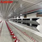 Máquina automática Proyecto de granja de pollos y materiales Equipo de aves de corral Sistema de línea de alimentación de pan de cría Máquina de alimentadores de pollo - Equipo avícola del criador - foodmachtech