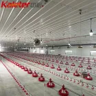 Hähnchen züchter Automatische Hähnchen-Feeder-Linie Automatische Broiler zucht Komplette Satup-Maschine für - Züchter Geflügel Ausrüstung - foodmachtech