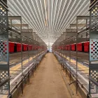 Europa y Australia Capas Equipo Agrícola Automático de Bienestar aves Corral Pollo Jaula Free Range Huevos Poner Gallina Sistema Aviario para - Equipo de avicultura en capas - foodmachtech