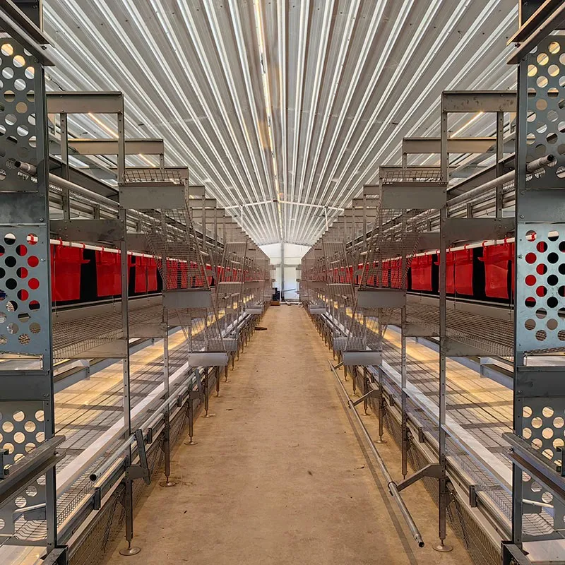 Europa y Australia Capas Equipo Agrícola Automático de Bienestar aves Corral Pollo Jaula Free Range Huevos Poner Gallina Sistema Aviario para - Equipo de avicultura en capas - foodmachtech