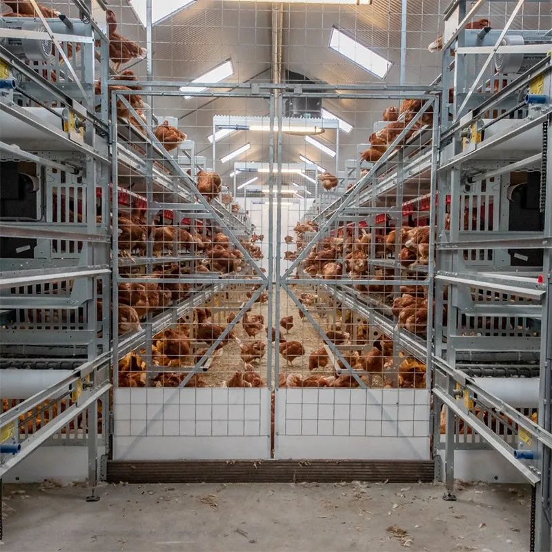 Europa y Australia Capas Equipo Agrícola Automático de Bienestar aves Corral Pollo Jaula Free Range Huevos Poner Gallina Sistema Aviario para - Equipo de avicultura en capas - foodmachtech