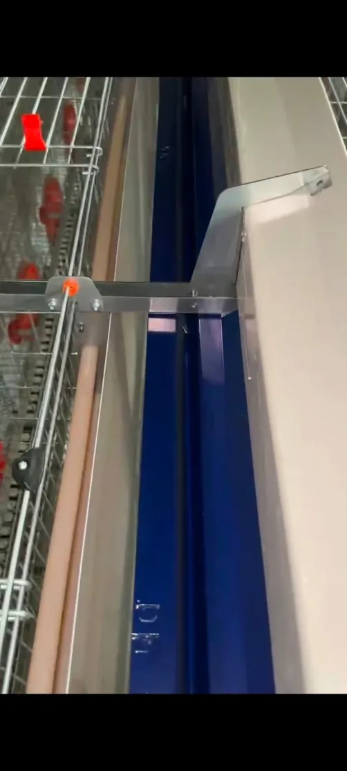 Máquina de remoción de estiércol - Sistema de limpieza de estiercol transportador - foodmachtech