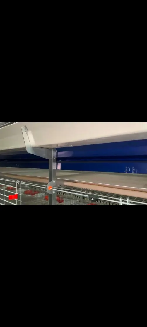 Máquina de remoción de estiércol - Sistema de limpieza de estiercol transportador - foodmachtech