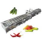Macchina per la pulizia della frutta di alta qualità in acciaio inox 10kw mela arancia frutta - Macchina per la pulizia - foodmachtech
