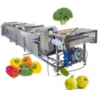 Macchina per la pulizia della frutta di alta qualità in acciaio inox 10kw mela arancia frutta - Macchina per la pulizia - foodmachtech
