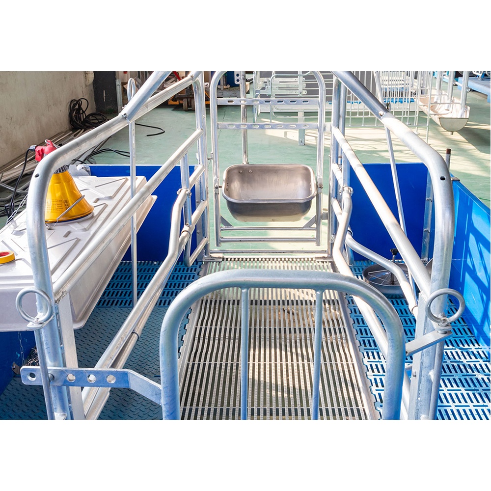 Fabricante de 30 años de equipos de cría de cerdos que ofrece servicios profesionales y equipos de cría de cerdos personalizables