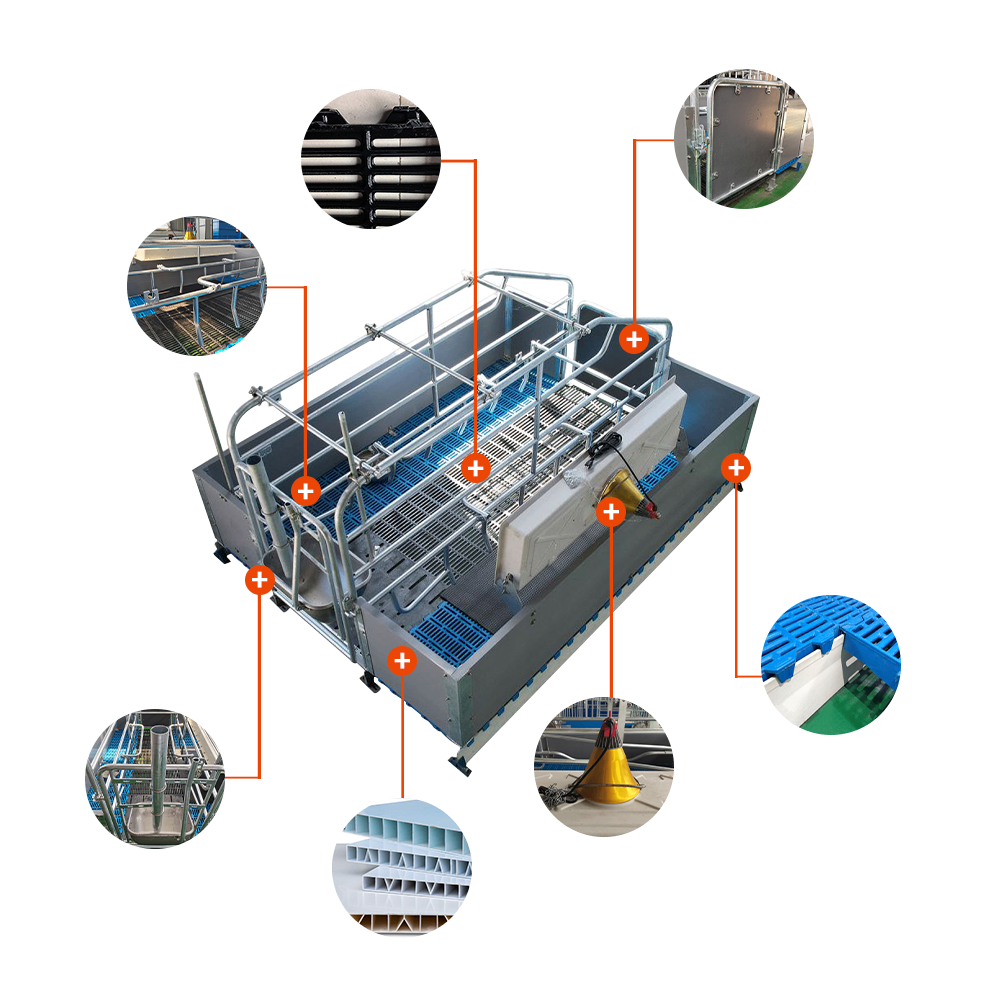 Prefab Pig Pigsty Farm Houses Diseño de plan de negocios de equipos de piggery