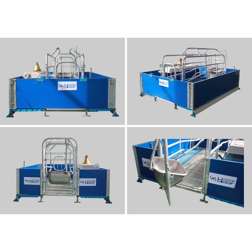 Equipo de cría de cerdos personalizable y servicios de diseño de granjas de cerdos