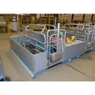 Fábrica china Alimentador Cerdo Equipo agrícola Farrowing Crate Precios Otros - Sistema de vivienda - foodmachtech