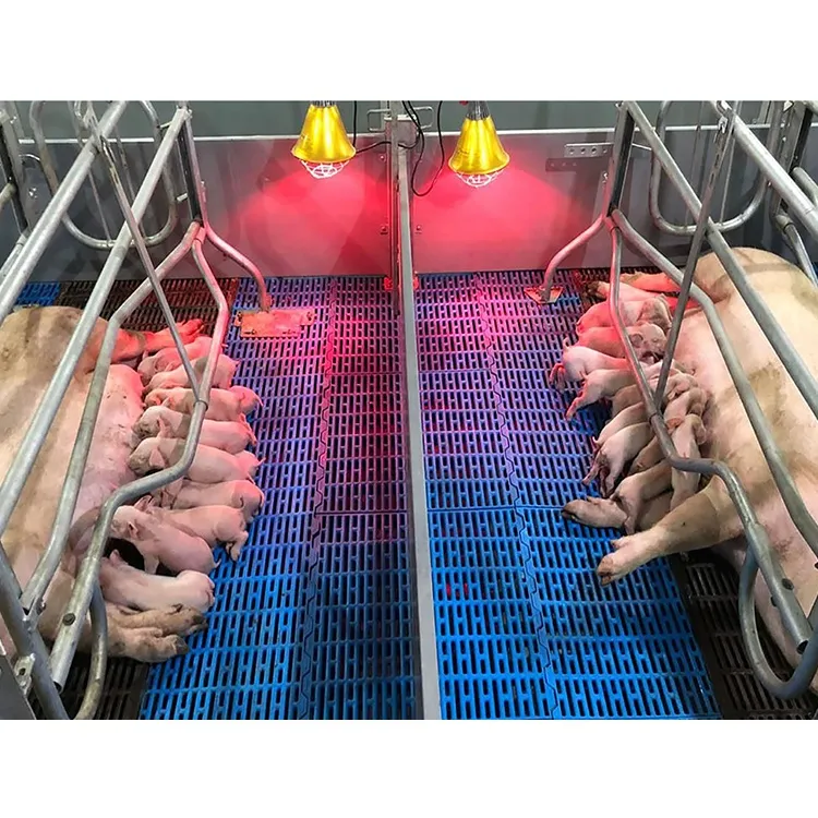 Equipo de granja del cerdo del diseño de la casa de granja de la fábrica Piggery del profesional 800-1000 de 30 años - Sistema de vivienda - foodmachtech