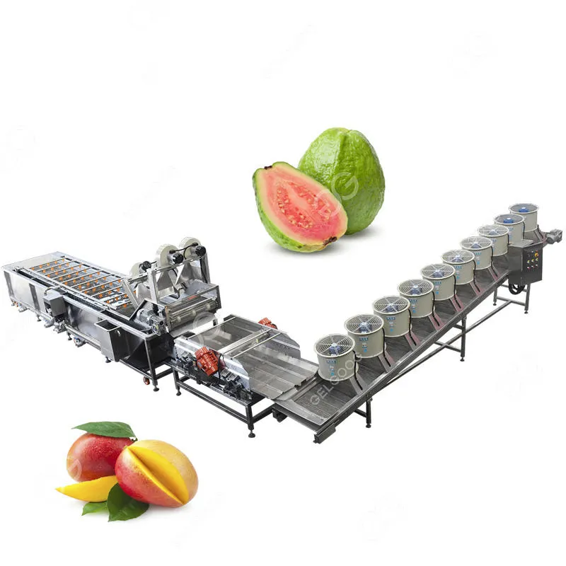 Macchina per la pulizia della frutta di alta qualità in acciaio inox 10kw mela arancia frutta - Macchina per la pulizia - foodmachtech