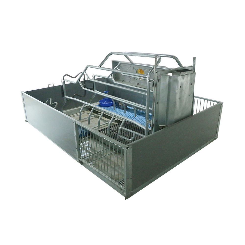 Sistemas automáticos originales chinos de la fábrica para los cerdos Equipo de granja para el cerdo de la granja