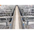 Fábrica china Alimentador Cerdo Equipo agrícola Farrowing Crate Precios Otros - Sistema de vivienda - foodmachtech