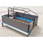 Pig Farming Equipment Project Suína Farm for Pig Farms for Sale - Sistema Habitação - foodmachtech