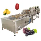 Macchina per la pulizia della frutta di alta qualità in acciaio inox 10kw mela arancia frutta - Macchina per la pulizia - foodmachtech