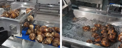 โรงงานที่กำหนดเองทำรากผักสายการประมวลผล batata มันฝรั่งชุดนอนเผือกประกอบสาย