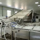 Secado automático de frutas y verduras - Línea de producción de frutas y verduras crujientes - foodmachtech