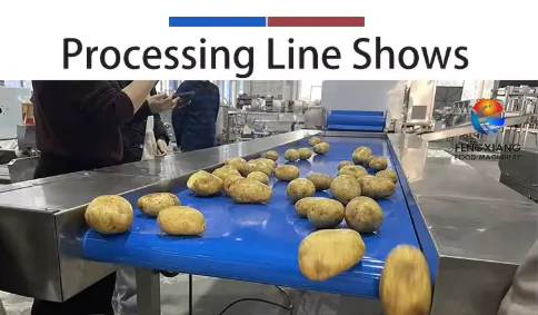 Línea de procesamiento de vegetales de raíz a medida de fábrica Batata Potato Jicama Taro línea de montaje - Línea de producción de frutas y verduras crujientes - foodmachtech