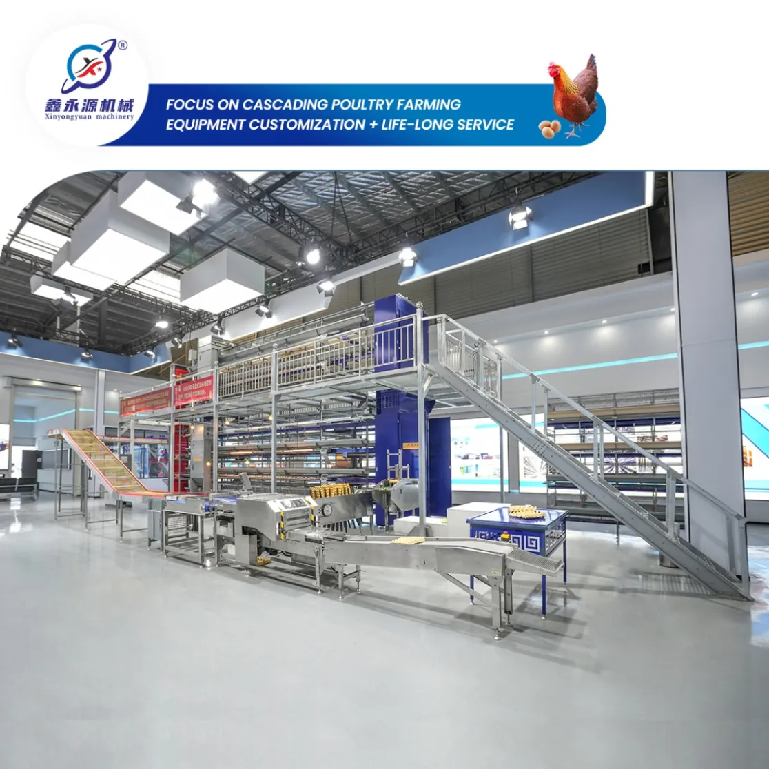 Sistema de criação de galinhas poedeiras automatizado 4 camadas - Equipamento de Avicultura em Camadas - foodmachtech