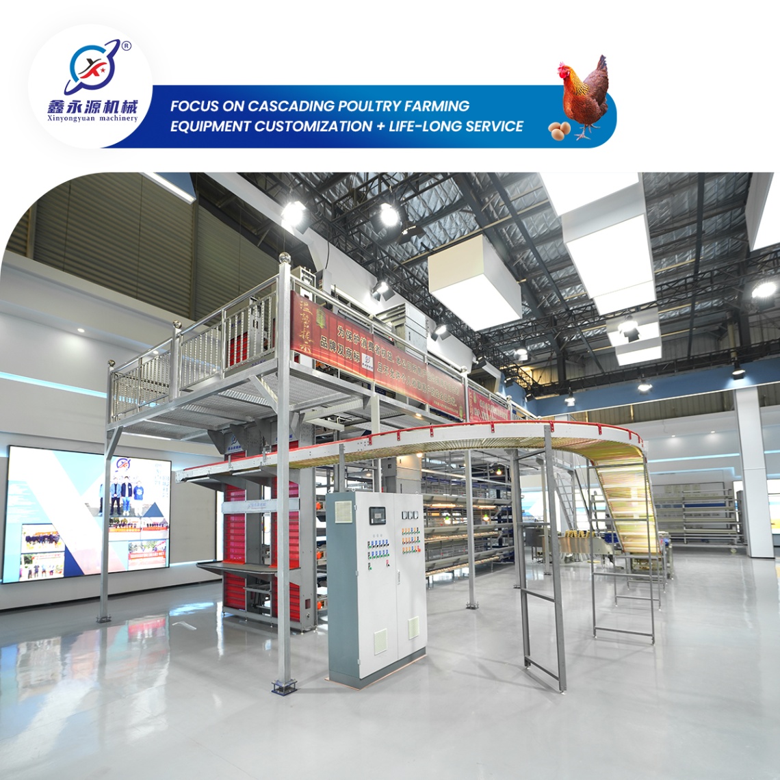 กรงเลี้ยงไก่ไข่แบบชุบสังกะสีสำหรับอาคารสูง