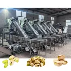 Cadena de producción de alta velocidad de la asación del bombardeo de la nuez del pistacho de la calidad comercial - Máquina de asar - foodmachtech
