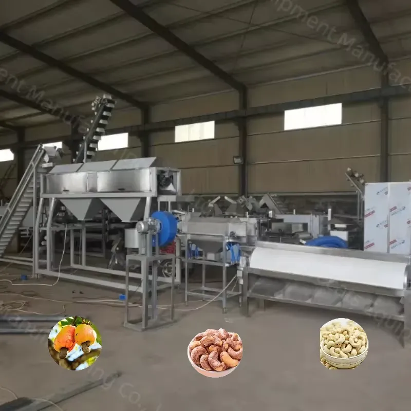 Tuerca limpieza remojo vapor tostado bombardeo agrietamiento secado kernel peeling clasificación máquina de procesamiento línea de producción - Máquina de asar - foodmachtech