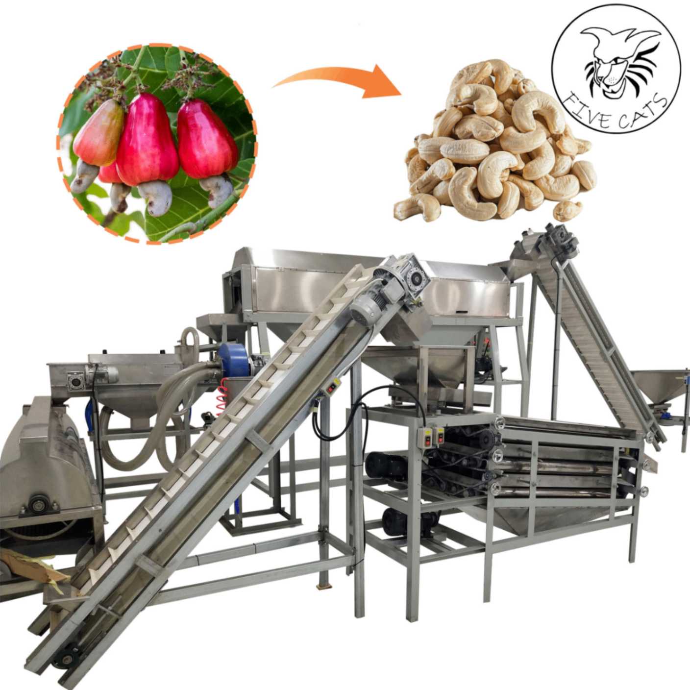 Cashew Nut Steaming Shelling Grading Drying Packing Production Plant Equipment Processing Line